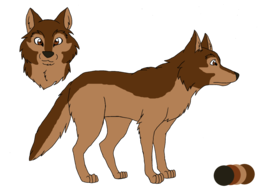 animals & jackal coyote free transparent png image.