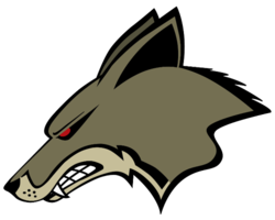 animals & Jackal coyote free transparent png image.