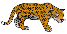 animals & Jaguar free transparent png image.