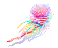 animals & Jellyfish free transparent png image.