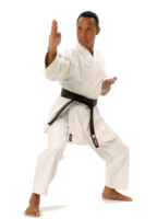 sport & karate free transparent png image.