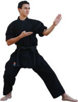 sport & karate free transparent png image.