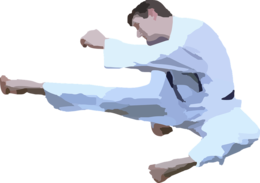 sport & karate free transparent png image.