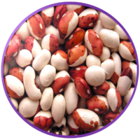 vegetables & kidney beans free transparent png image.