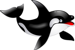 animals & Killer whale free transparent png image.