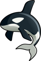 animals & Killer whale free transparent png image.