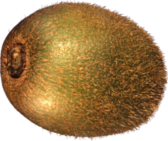 fruits & kiwi free transparent png image.