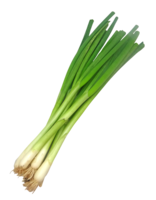 vegetables&Leek png image.