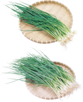 vegetables & Leek free transparent png image.