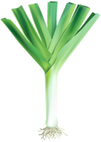 vegetables & leek free transparent png image.