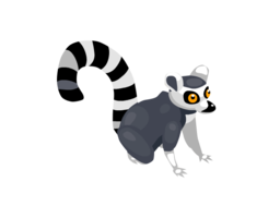 animals&Lemur png image.