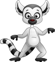 animals & Lemur free transparent png image.