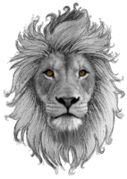 astrological signs & Leo free transparent png image.