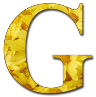 alphabet & G free transparent png image.