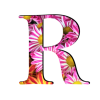 alphabet & R free transparent png image.