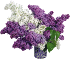 flowers & Lilac free transparent png image.