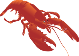 animals & Lobster free transparent png image.