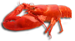 animals & lobster free transparent png image.