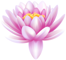 flowers & sacred lotus free transparent png image.