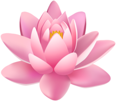 flowers & sacred lotus free transparent png image.