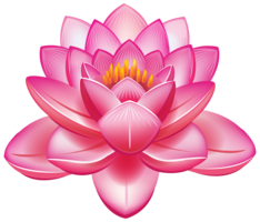 flowers & sacred lotus free transparent png image.