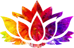 flowers & sacred lotus free transparent png image.