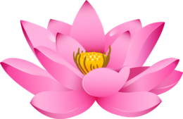 flowers & sacred lotus free transparent png image.