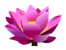 flowers & sacred lotus free transparent png image.