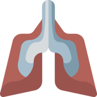 people & Lung free transparent png image.