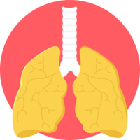 people & Lung free transparent png image.