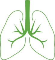 people & Lung free transparent png image.