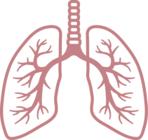 people & Lung free transparent png image.