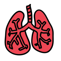 people & Lung free transparent png image.