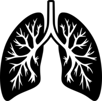 people & Lung free transparent png image.