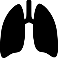 people & lung free transparent png image.