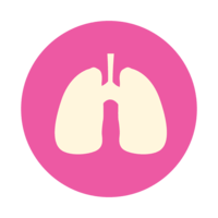 people & Lung free transparent png image.