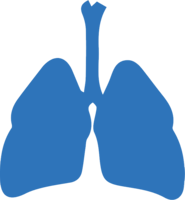 people & Lung free transparent png image.