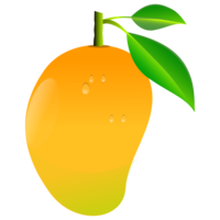 fruits & mango free transparent png image.