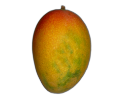 fruits & Mango free transparent png image.