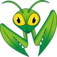 insects & mantis free transparent png image.