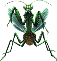 insects & mantis free transparent png image.