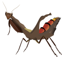 insects & mantis free transparent png image.