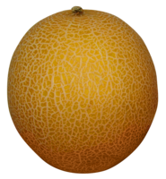 fruits & melon free transparent png image.