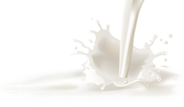 food & Milk free transparent png image.