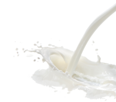 food & Milk free transparent png image.