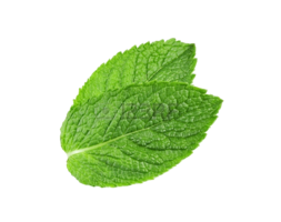 nature & peppermint free transparent png image.