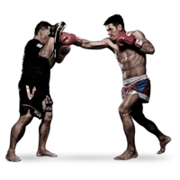 sport & mixed martial arts free transparent png image.