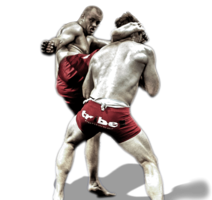 sport & Mixed martial arts free transparent png image.