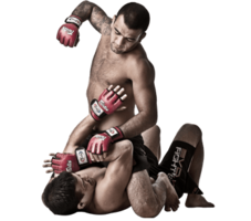 sport & mixed martial arts free transparent png image.