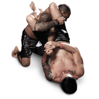 sport & Mixed martial arts free transparent png image.